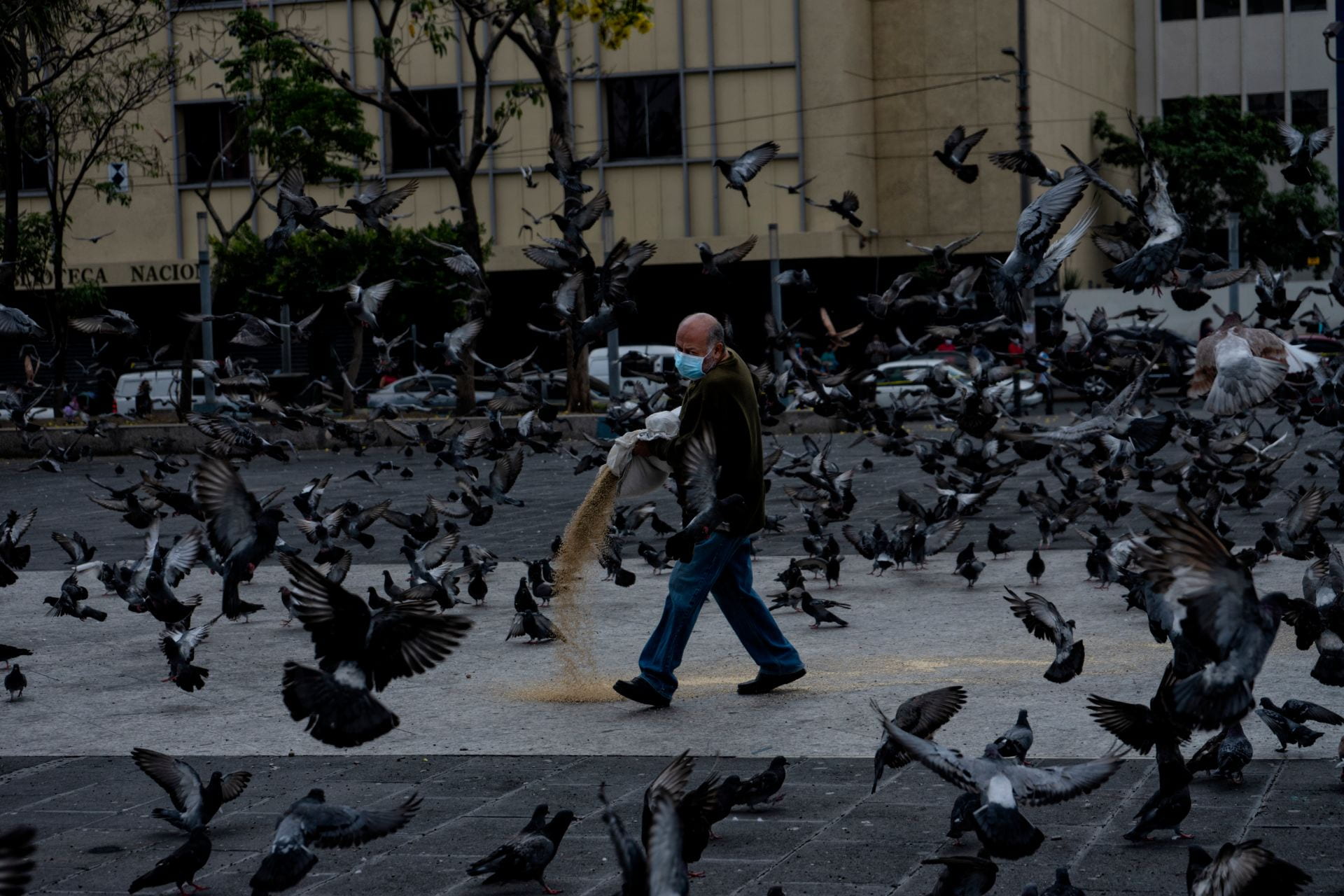 A person feeds the pigeons at Plaza Gerardo Barrios (square) during the COVID pandemic quarantine in the historic downtown San Salvador.